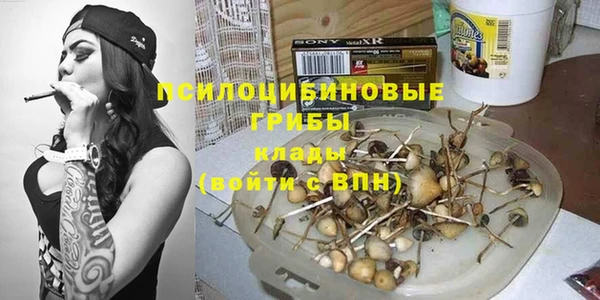 ГАЛЛЮЦИНОГЕННЫЕ ГРИБЫ Аркадак