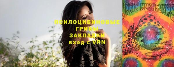 первитин Армянск