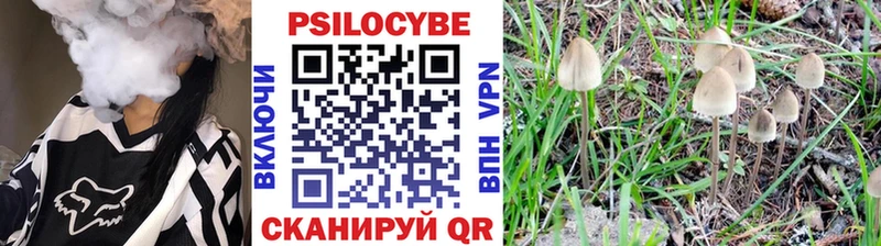 hydra ссылка  дарнет шоп  Фролово  Галлюциногенные грибы мухоморы 